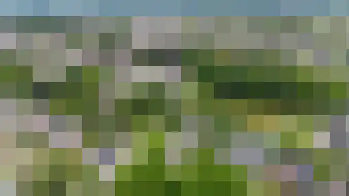 Hoefijzer 8 Didam thumbnail 7