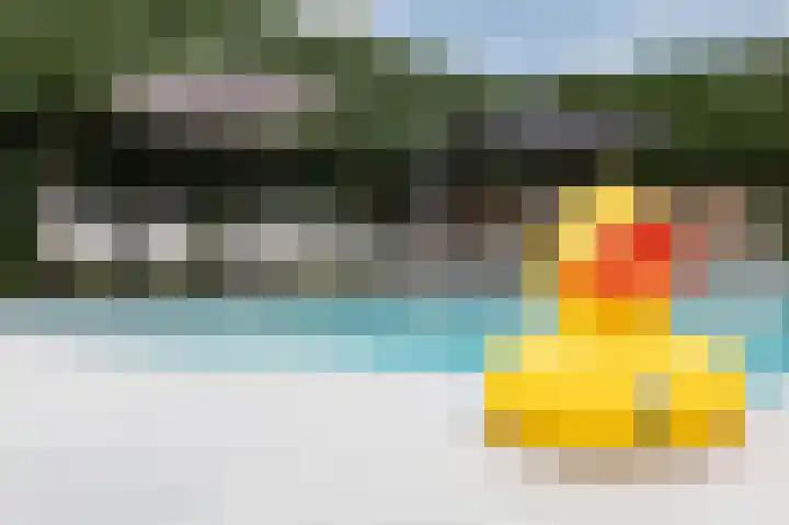 Hoefijzer 8 Didam thumbnail 74