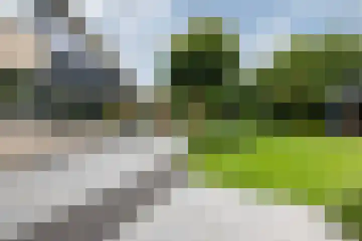 Hoefijzer 8 Didam thumbnail 75