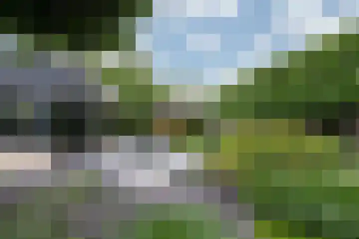 Hoefijzer 8 Didam thumbnail 82