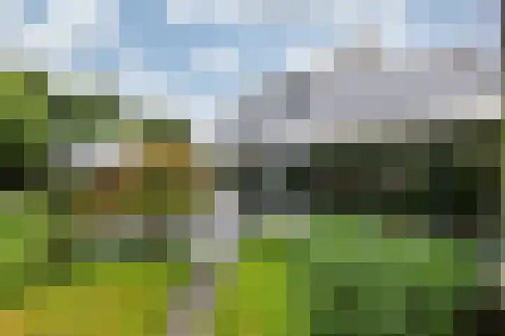 Hoefijzer 8 Didam thumbnail 86