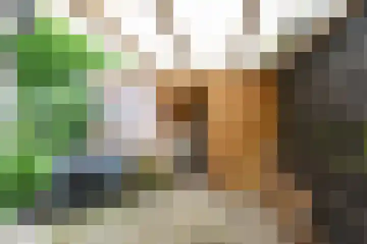 Hoefijzer 8 Didam thumbnail 87