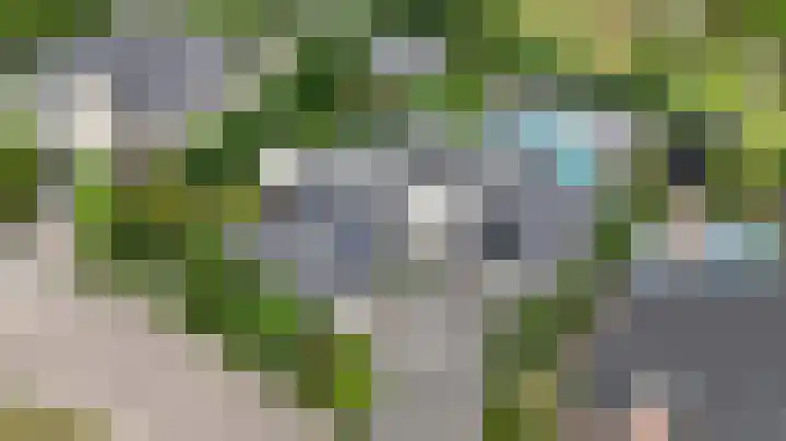 Hoefijzer 8 Didam thumbnail 9