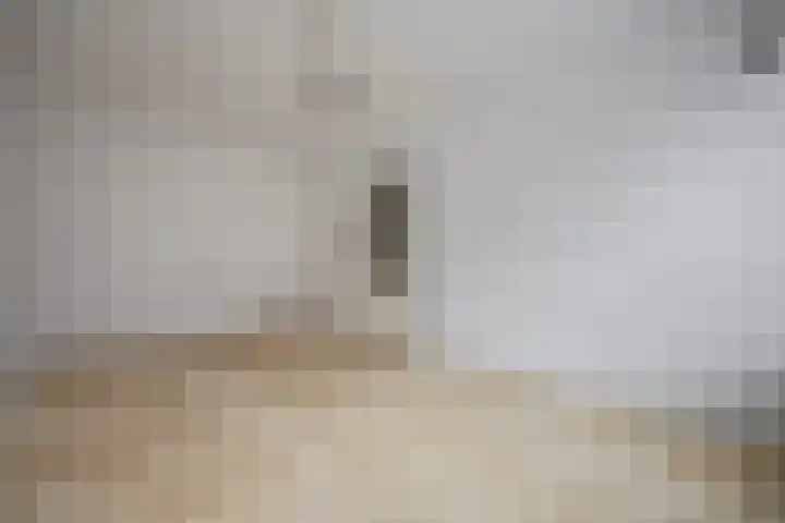 Hoefkade 1041 Den Haag thumbnail 15