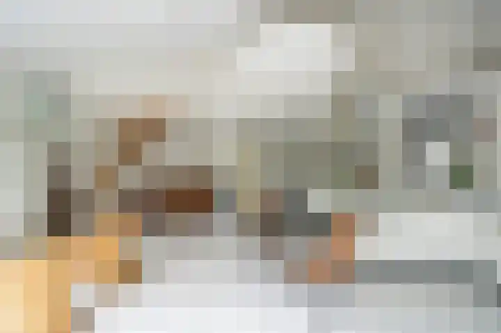 Hoefpad 1 B Arkel thumbnail 11