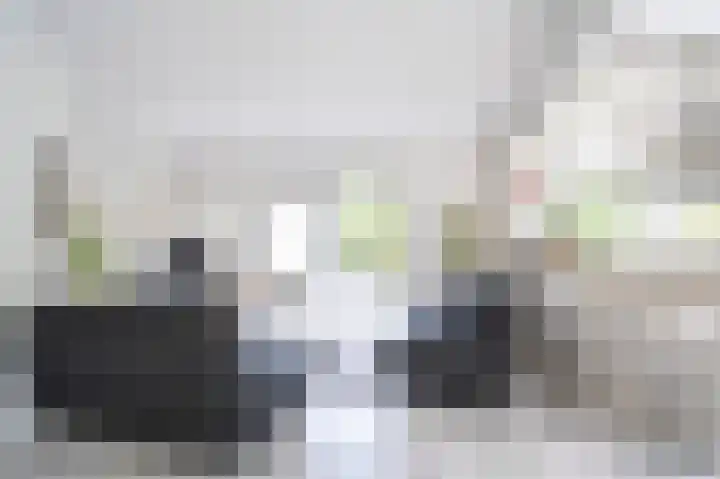 Hoefpad 1 B Arkel thumbnail 12