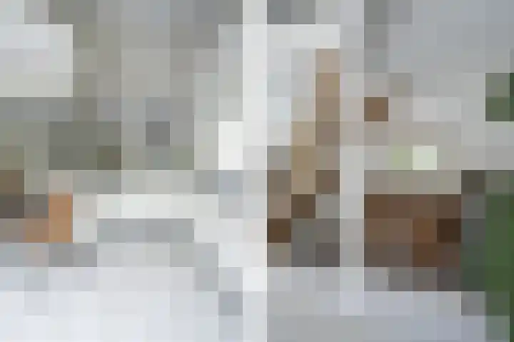 Hoefpad 1 B Arkel thumbnail 15