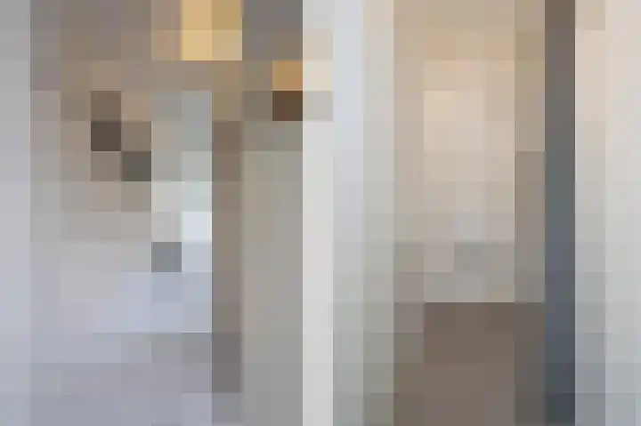 Hoefpad 1 B Arkel thumbnail 16
