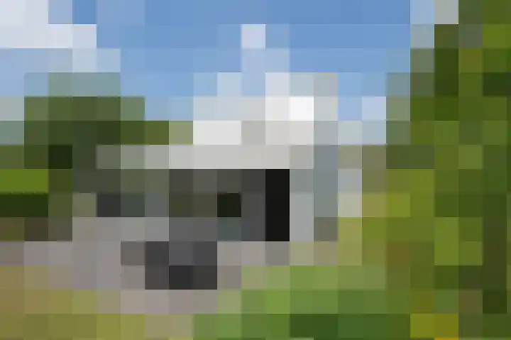 Hoefpad 1 B Arkel thumbnail 31