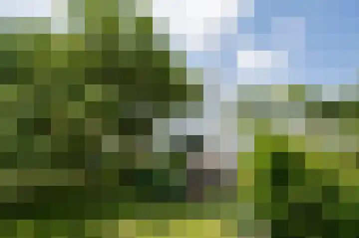 Hoefpad 1 B Arkel thumbnail 34