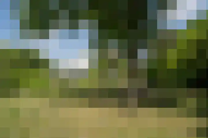 Hoefpad 1 B Arkel thumbnail 36