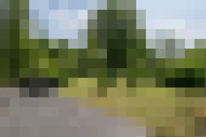Hoefpad 1 B Arkel thumbnail 38