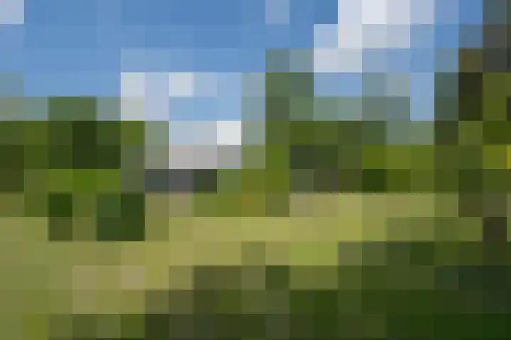 Hoefpad 1 B Arkel thumbnail 4