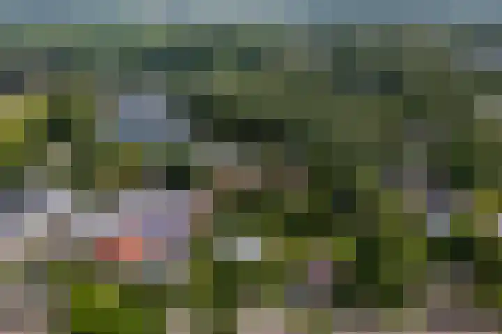 Hoefpad 1 B Arkel thumbnail 40