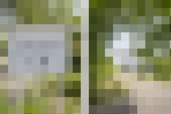 Hoefpad 1 B Arkel thumbnail 5