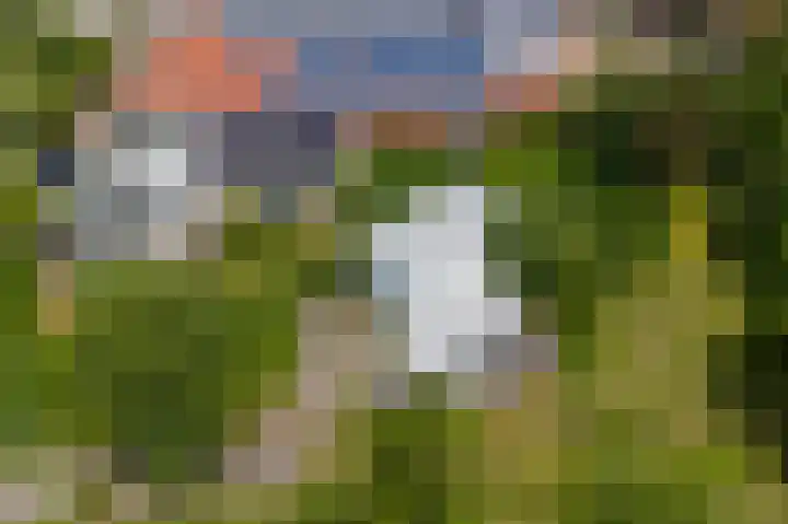 Hoefpad 1 B Arkel thumbnail 6