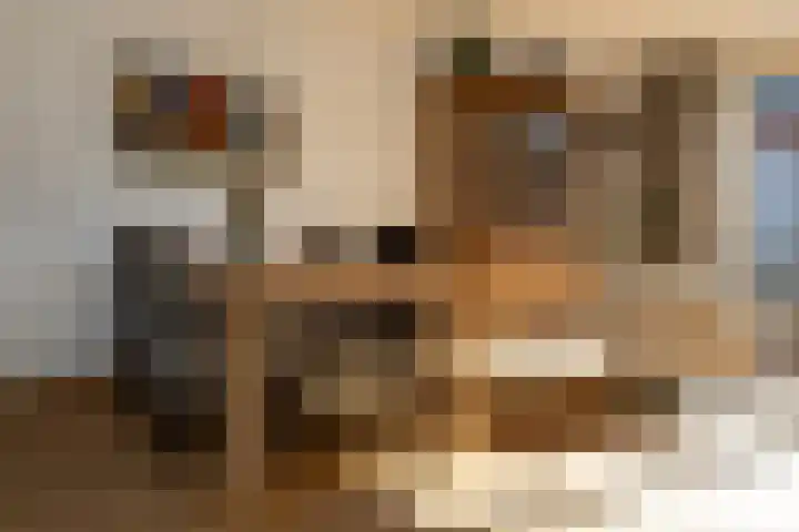 Hoefslag 15 Hulshorst thumbnail 12