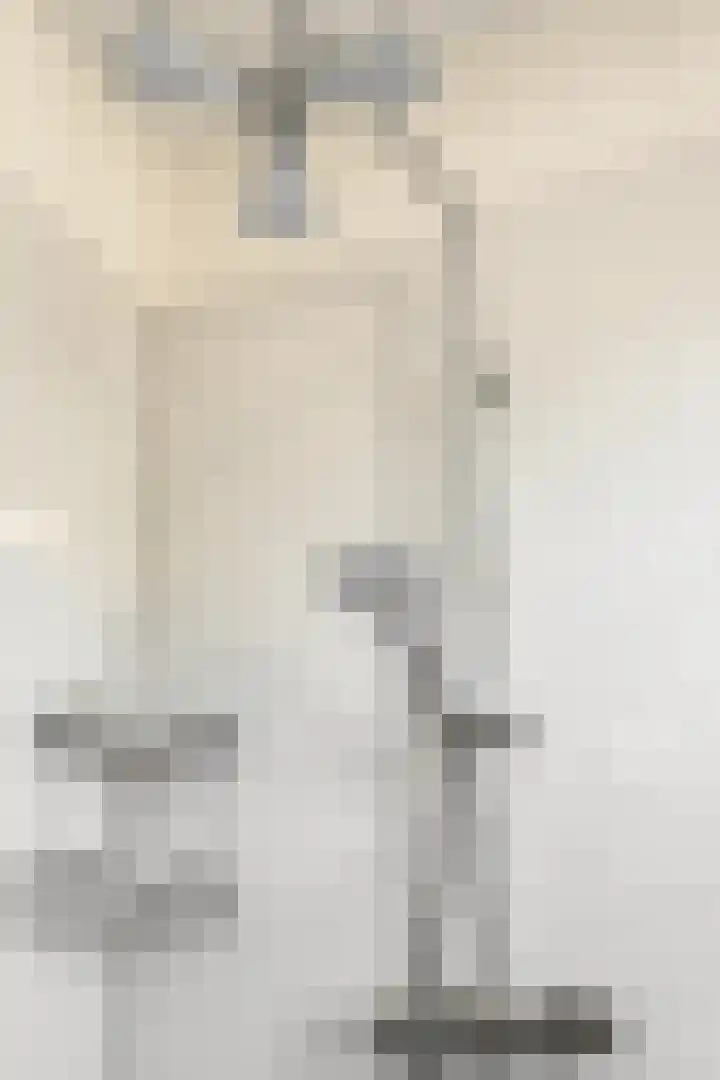 Hoefslag 15 Hulshorst thumbnail 26