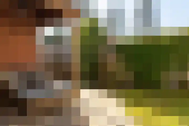 Hoefslag 15 Hulshorst thumbnail 41