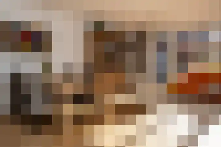 Hoefslag 15 Hulshorst thumbnail 9