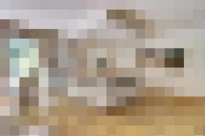 Hoefslag 21 's Gravenmoer thumbnail 15