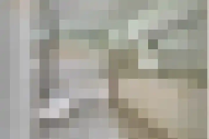 Hoefslag 21 's Gravenmoer thumbnail 36