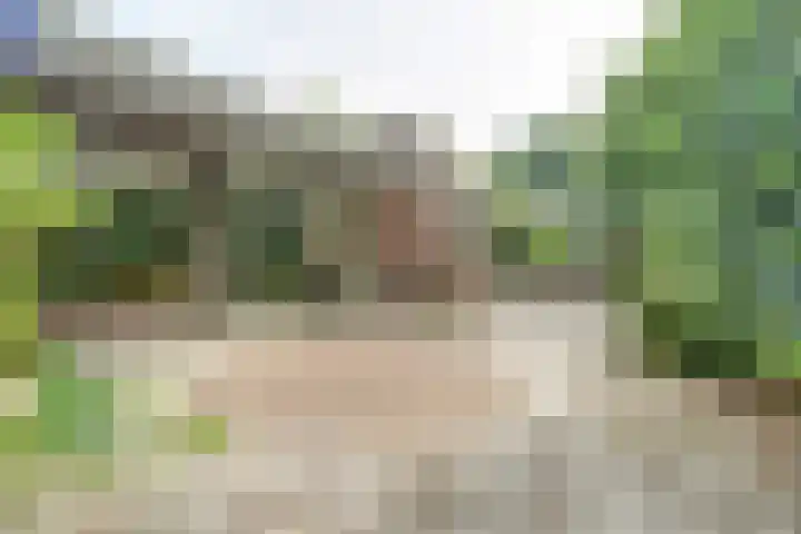 Hoefslag 21 's Gravenmoer thumbnail 37