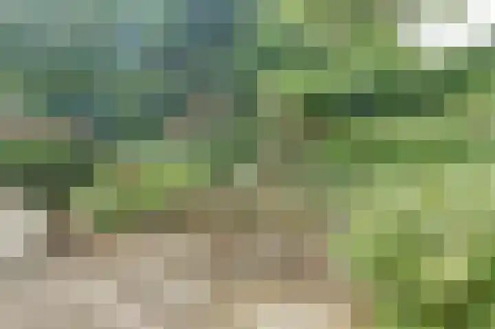 Hoefslag 21 's Gravenmoer thumbnail 40