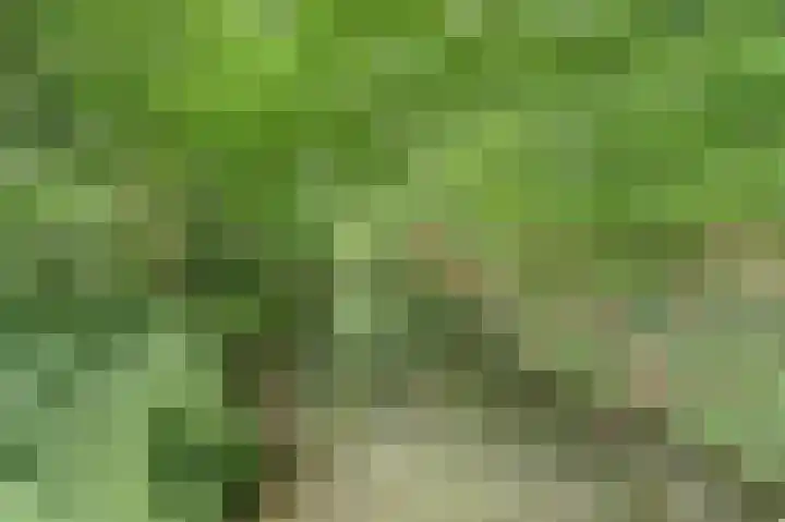 Hoefslag 21 's Gravenmoer thumbnail 43