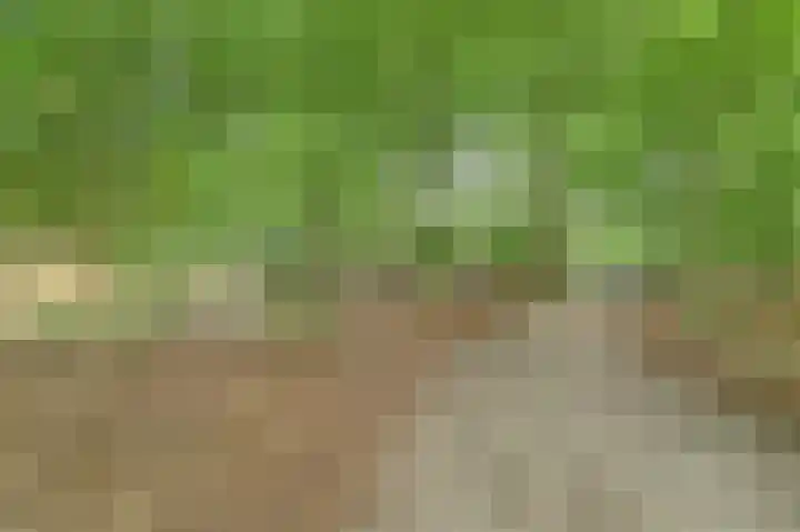 Hoefslag 21 's Gravenmoer thumbnail 44