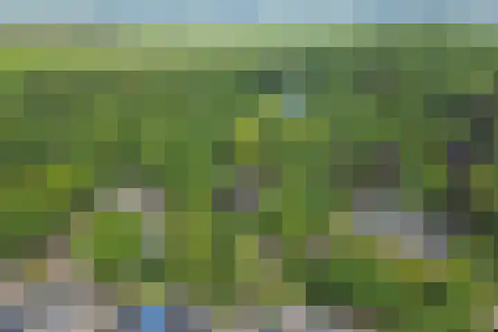 Hoefslag 21 's Gravenmoer thumbnail 45