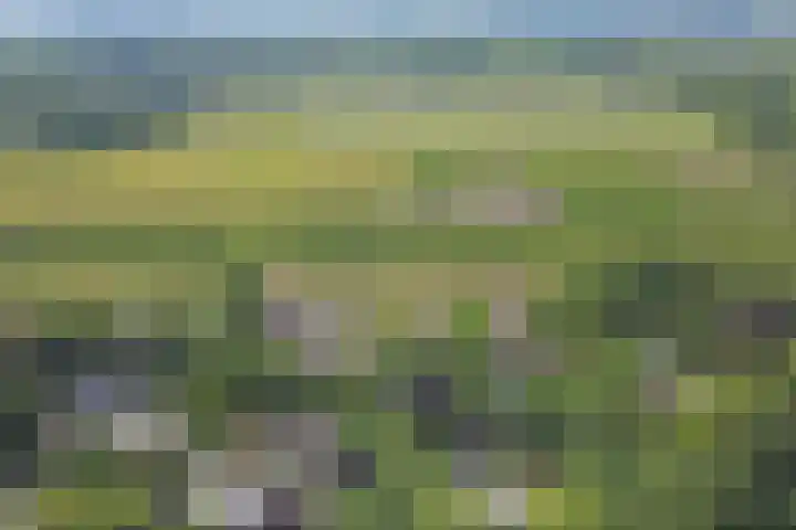 Hoefslag 21 's Gravenmoer thumbnail 46
