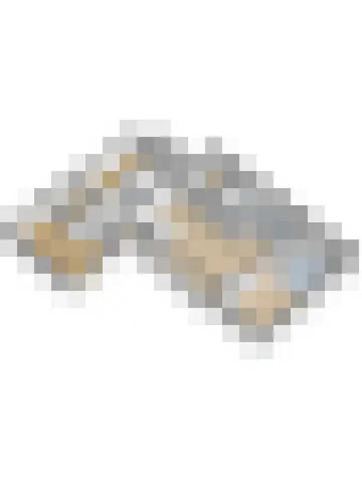Hoefslag 21 's Gravenmoer thumbnail 48
