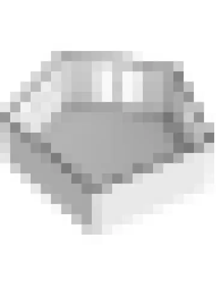 Hoefslag 21 's Gravenmoer thumbnail 49