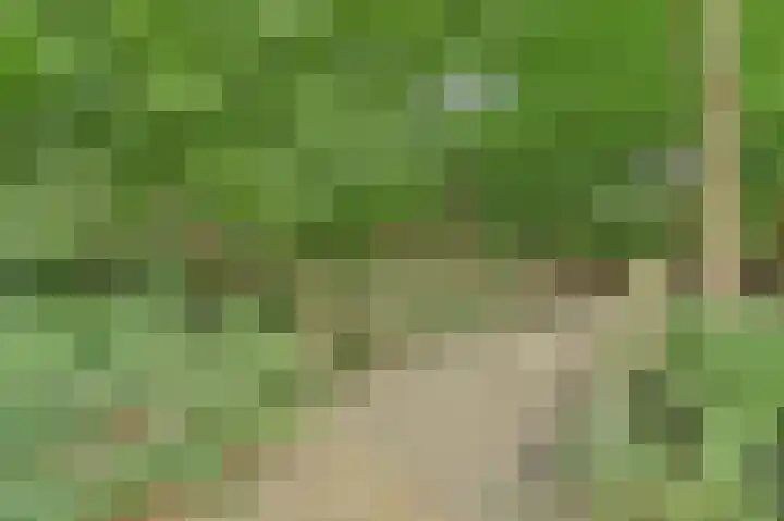 Hoefslag 21 's Gravenmoer thumbnail 5