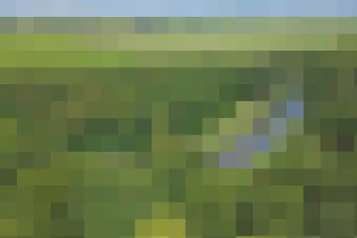 Hoefslag 21 's Gravenmoer thumbnail 6