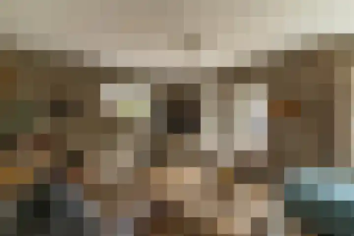 Hoefslag 8 Hulshorst thumbnail 12