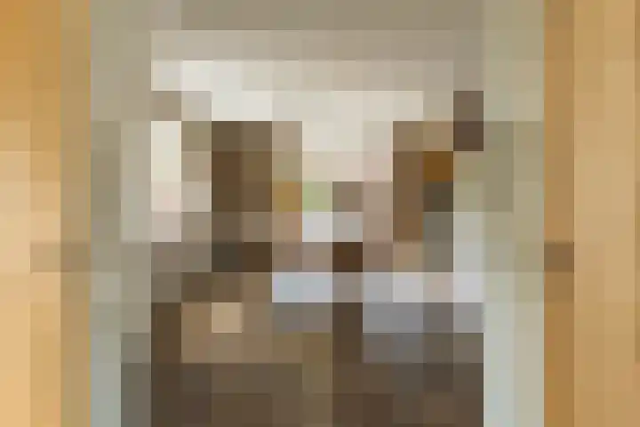 Hoefslag 8 Hulshorst thumbnail 17