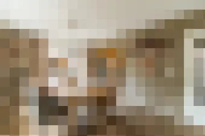 Hoefslag 8 Hulshorst thumbnail 18