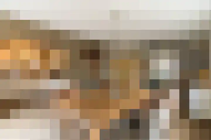 Hoefslag 8 Hulshorst thumbnail 21