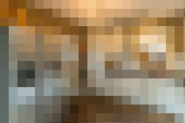 Hoefslag 8 Hulshorst thumbnail 23