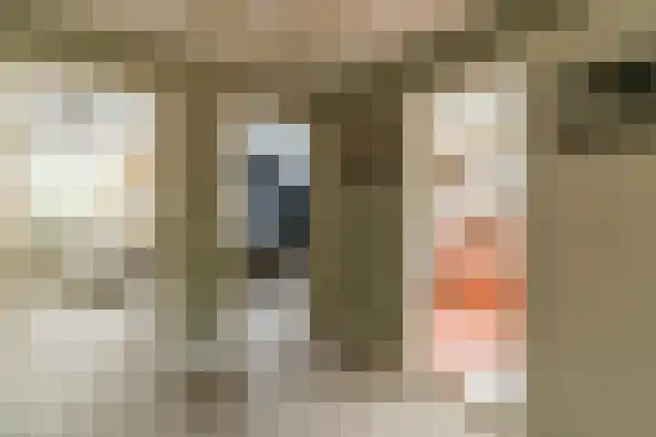 Hoefslag 8 Hulshorst thumbnail 27