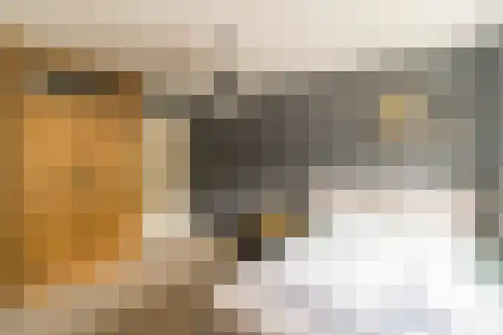 Hoefslag 8 Hulshorst thumbnail 35