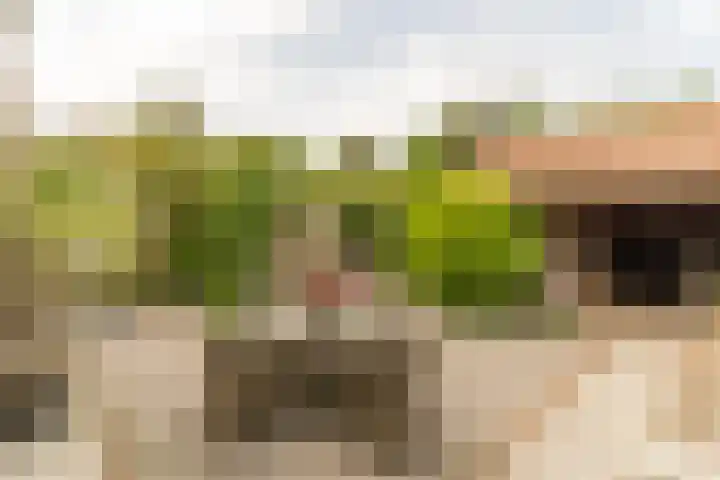 Hoefslag 8 Hulshorst thumbnail 38