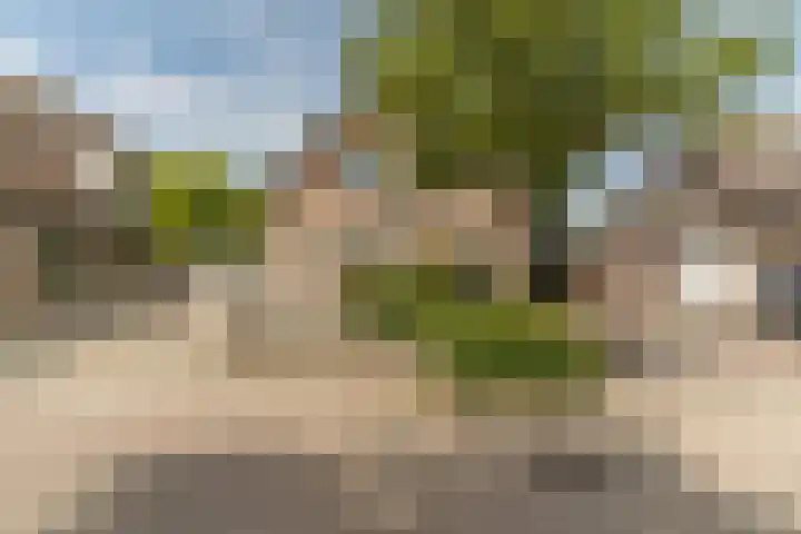 Hoefslag 8 Hulshorst thumbnail 4