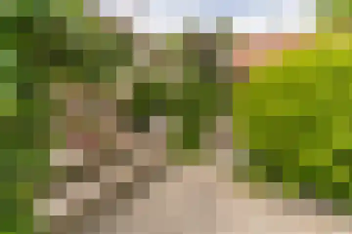 Hoefslag 8 Hulshorst thumbnail 40