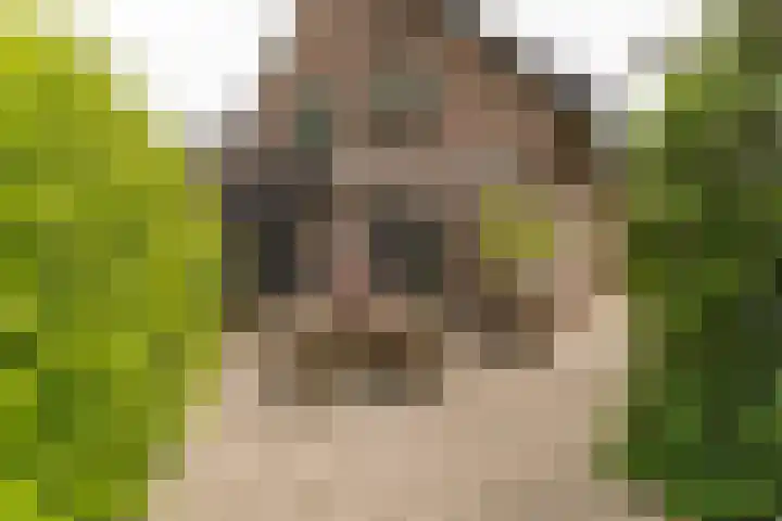Hoefslag 8 Hulshorst thumbnail 43