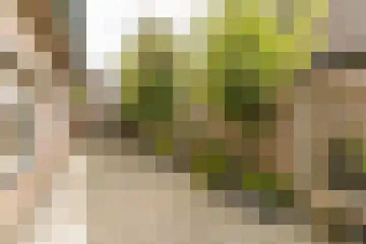 Hoefslag 8 Hulshorst thumbnail 44