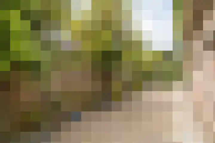 Hoefslag 8 Hulshorst thumbnail 45