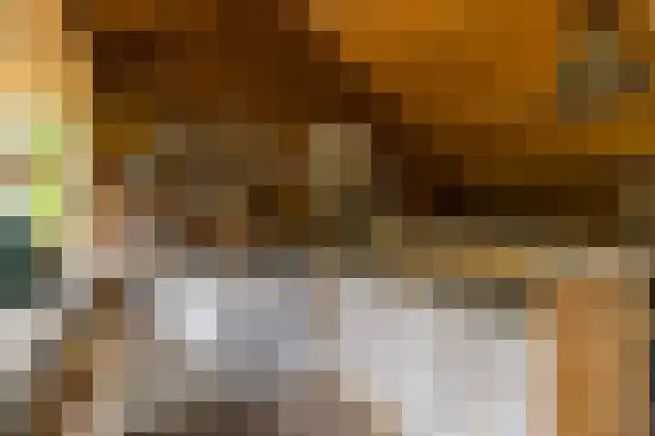 Hoefslag 8 Hulshorst thumbnail 51